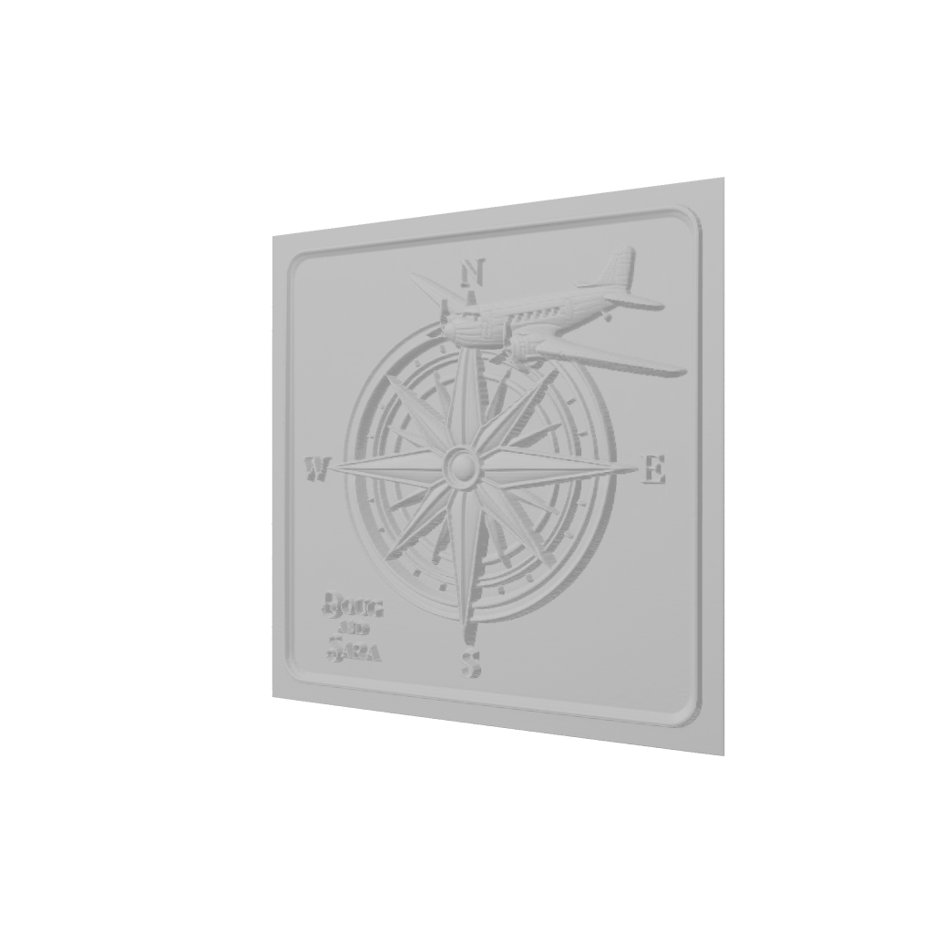 compass rose airplane