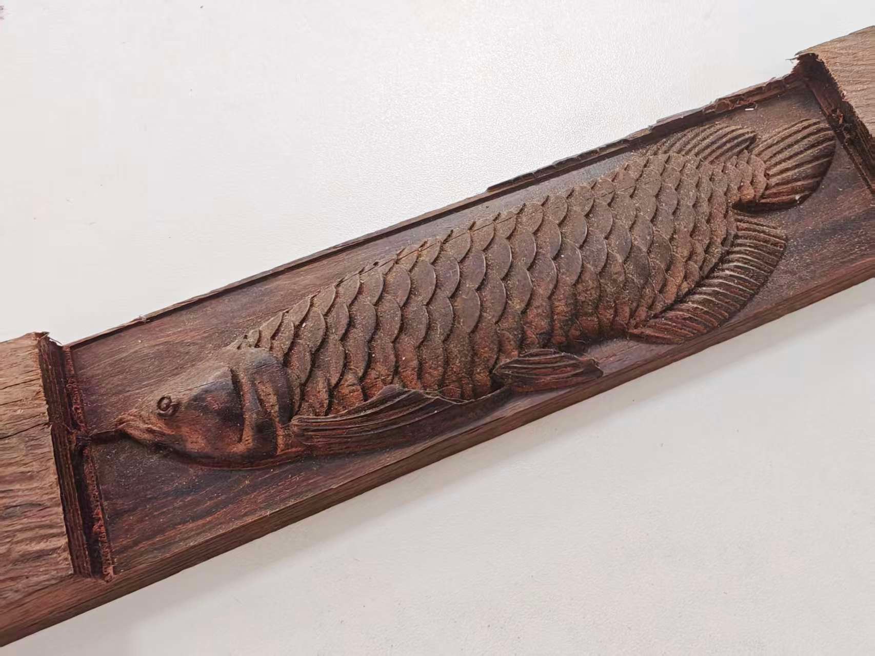 Arowana dorato (pesce drago dorato)