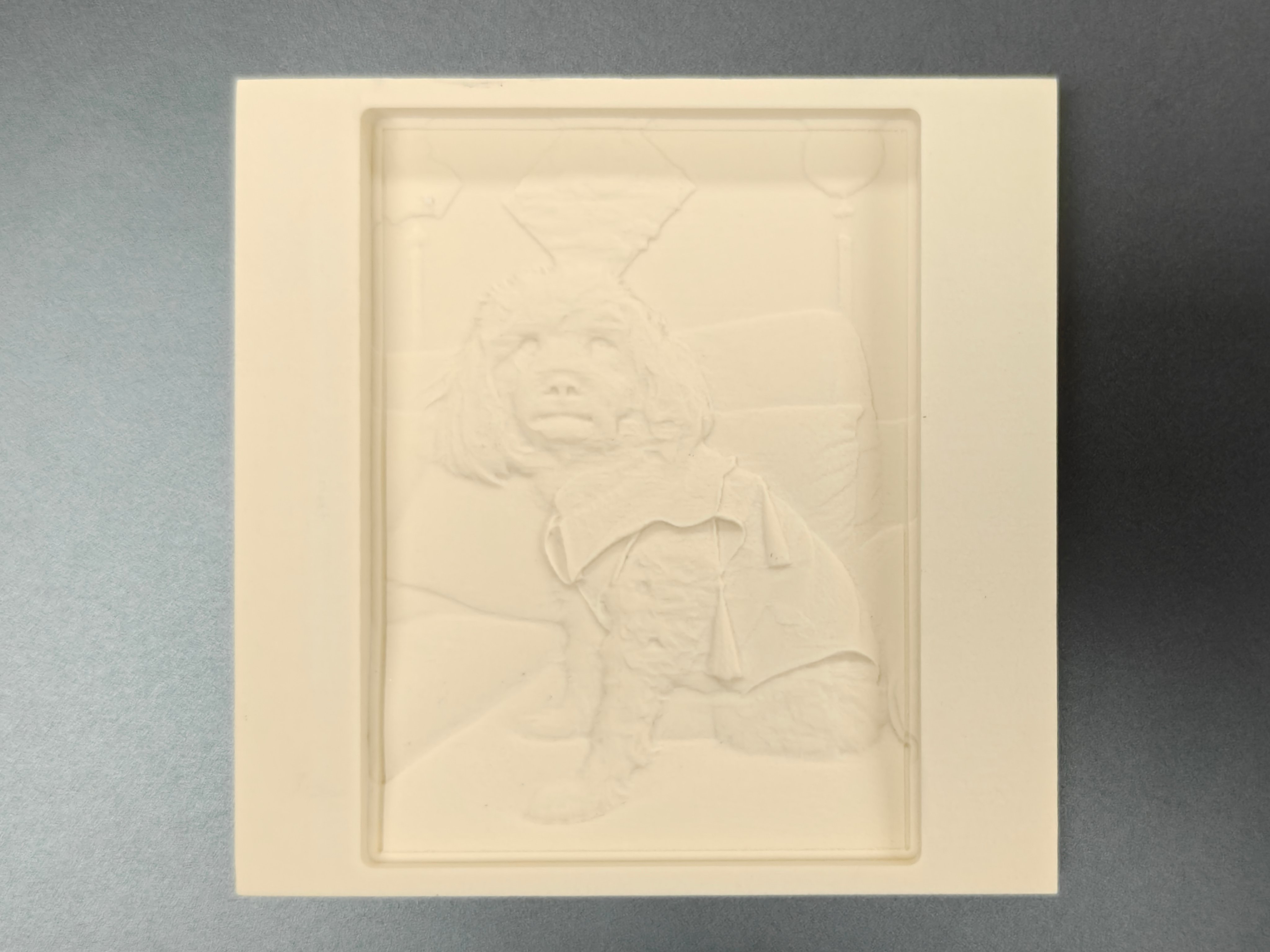 Pet dog relief