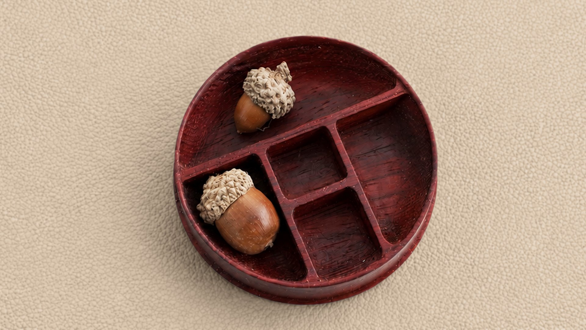 Five-Compartment Storage Box