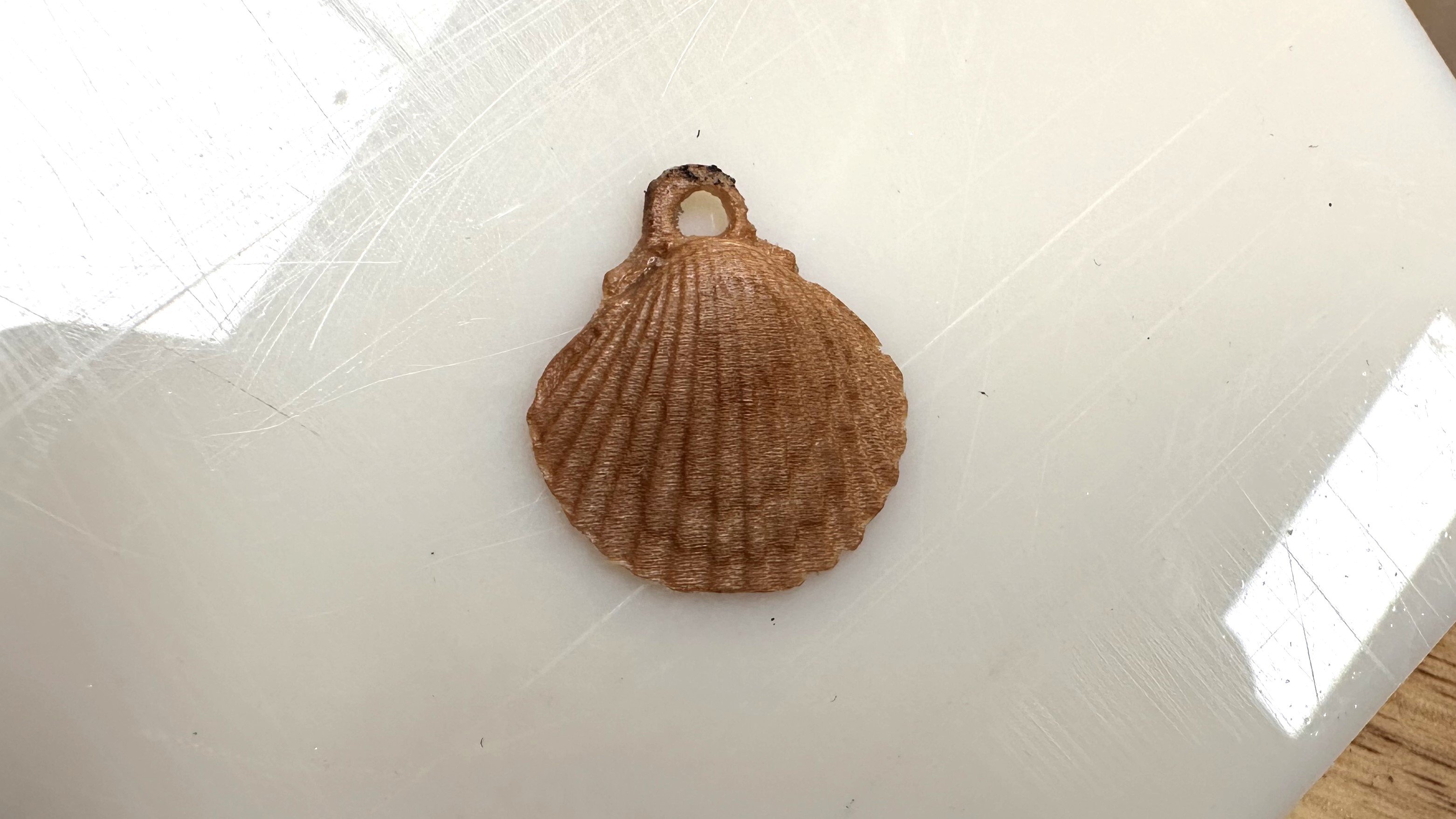 Collana con ciondolo a conchiglia