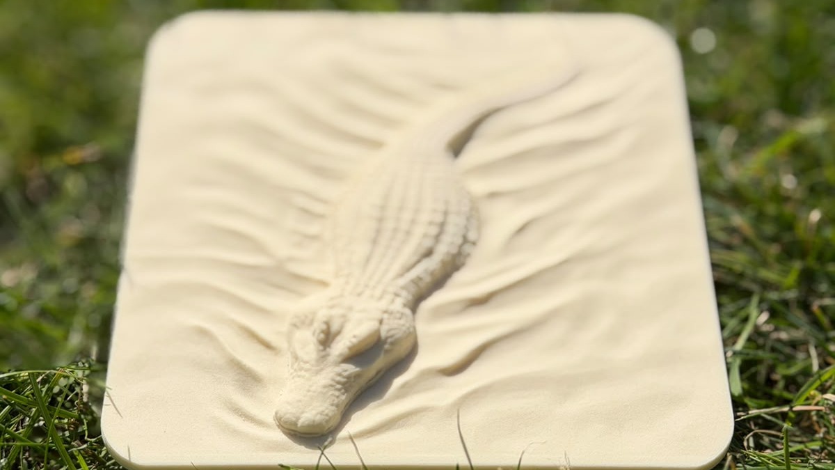Swimming Alligator / crocodile